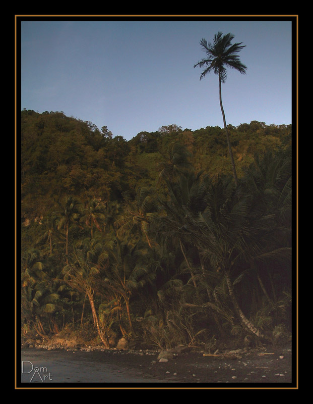 ADG plage9.jpg